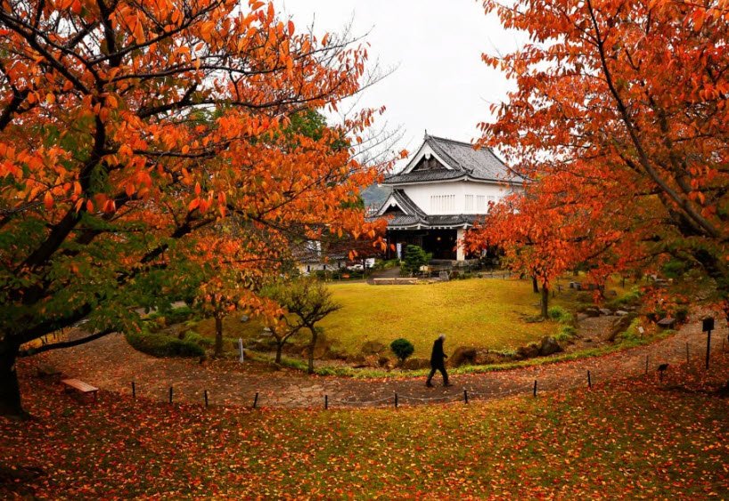 Shōryūji-jo Castle Park, Nagaokakyo, Japan